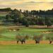 Antognolla è il “Miglior campo da golf d’Italia”. Premiato ai World Golf Awards 2024