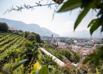 Ombra, acqua e passeggiate nel verde: il paradiso estivo nascosto ai piedi delle Alpi