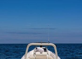 Non è un fuoribordo qualsiasi: ha appena ricevuto il titolo di miglior prodotto nautico