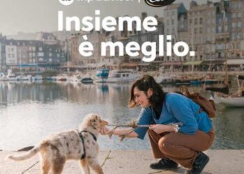 Se hai un cane, devi assolutamente conoscere questa novità per le vacanze