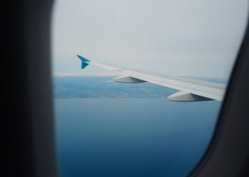 Addio alla stiva: da oggi i cani di grossa taglia volano accanto ai padroni!