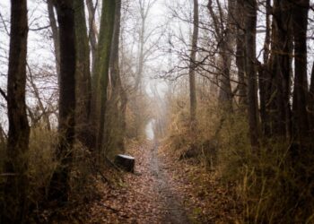 Turisti si perdono tra i rovi durante un’escursione: salvati grazie al GPS del cellulare