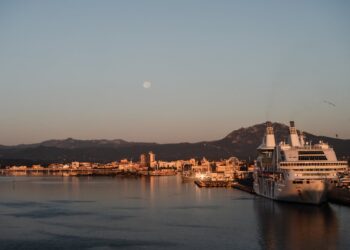 Rubano una tartaruga e delle pietre in Sardegna: la vacanza finisce malissimo per due turisti