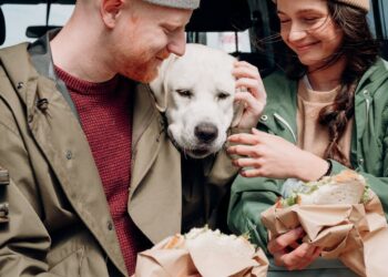 Viaggiare con il proprio cane è una priorità per un italiano su tre
