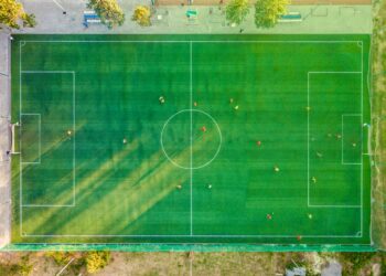 Partita di calcio interrotta da uno sciame di api, giocatori e tifosi a terra per evitare le punture