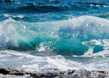 La gita in mare si trasforma in emergenza: tre turisti salvati in extremis dalla Guardia Costiera