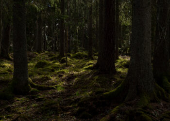 Persi tra gole e sentieri: il salvataggio in Costiera Amalfitana