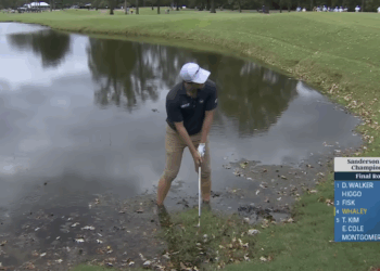 Vince Whaley sfida l’alligatore e salva il par al Sanderson Farms Championship. VIDEO