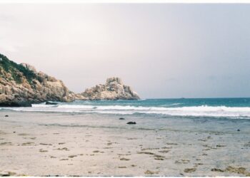 Muore a 80 anni durante una crociera: abbandonata su un’isola deserta dopo un’escursione