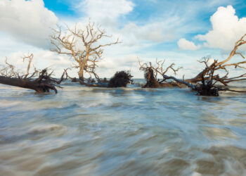 Alluvioni in Sri Lanka e Indonesia: oltre 320 morti e decine di migliaia di sfollati