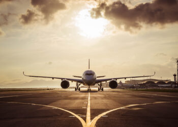 Atterraggio da brividi: un orso compare in pista mentre l’aereo tocca terra