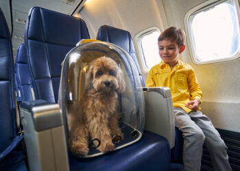 Cani in aereo: nuove regole ENAC, fino a 6 animali per volo e 30 kg in cabina