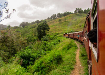 Treno travolge una mandria di elefanti: otto esemplari uccisi, cinque vagoni deragliati