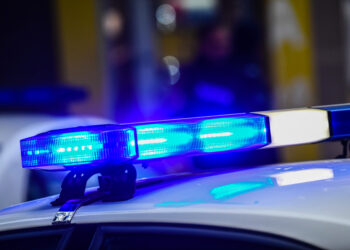 Maxi sequestro di droga sull’autostrada A2: 93 chili di hashish nascosti in un autocarro