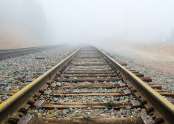 Treno colpito da un albero in corsa: paura sulla Roma–Velletri
