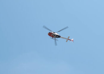 Bus si schianta contro un camion: tragedia con 11 morti