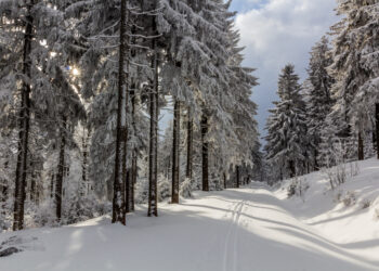 Escursione fatale: turista 53enne precipita per 80 metri e muore sul colpo
