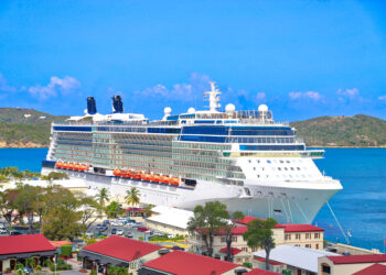 Norovirus sulla nave da crociera: oltre 150 contagiati durante il viaggio nei Caraibi