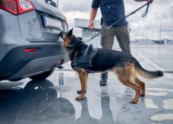 Arrestato corriere della droga all’aeroporto di Elmas: 116 ovuli nello stomaco