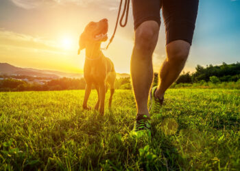 Dog Human Fitness, benefici e attività dell’allenamento cane-proprietario